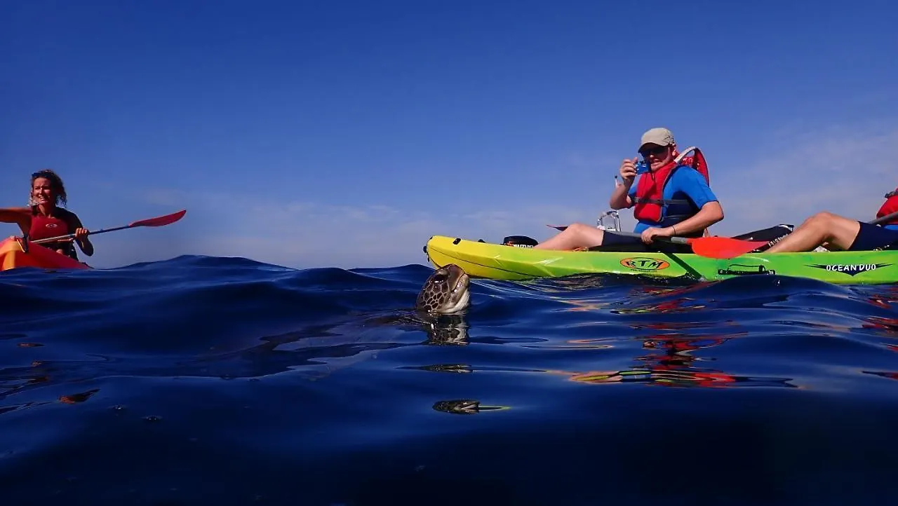 Adventure House Tenerife Hostel Alcalá la Real