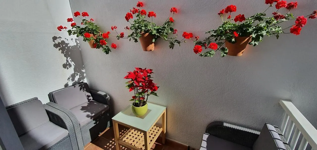 Adventure House Tenerife Hostel Alcalá la Real Hiszpania
