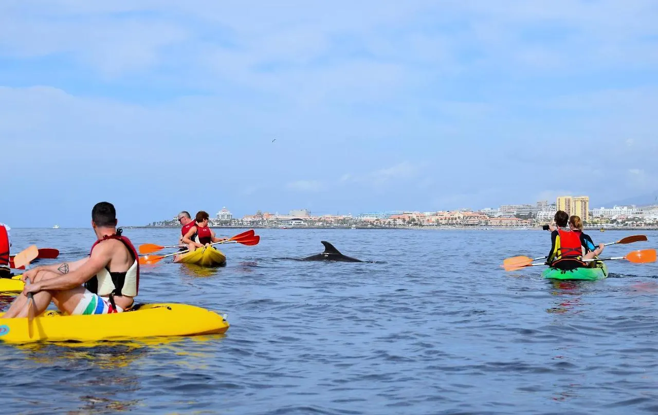 Alcalá la Real Adventure House Tenerifeホステル 0*, Alcalá la Real スペイン